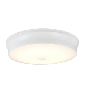 # 63005L-2 LED Large Flush Mount Ceiling Light Fixture, Contemporary Design in White Finish, Frosted Glass Diffuser, 15" Diameter